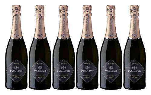 Follador 6 botellas 0,75l