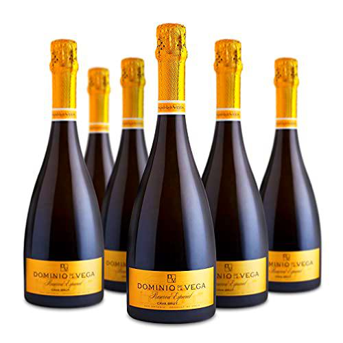 CAVA BRUT RESERVA ESPECIAL Dominio De La Vega, 75 Cl