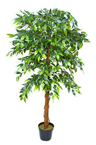 GreenBrokers Higuera Artificial Maceta Negra para decoración de Interiores y Exteriores