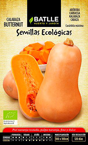 Semillas Batlle Calabaza Butternut - ECO