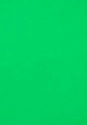 Hoja 70x100 (25) Guarro Cart IRIS 240g Verde Abeto