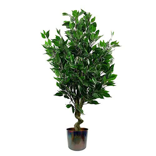 Leaf Ficus Plant - Macetero Realista (110 cm), Color Verde perenne