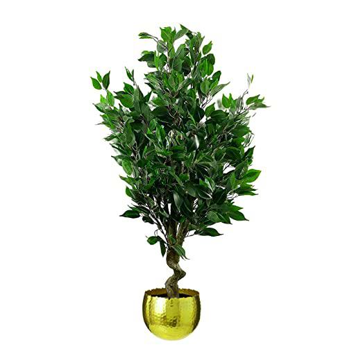 Leaf Árbol de ficus Artificial Realista con Maceta