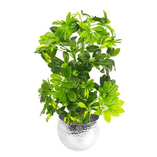 Leaf Design UK - Plantas Artificiales realistas en Maceta