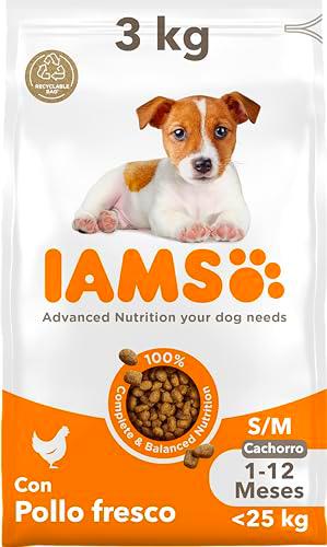 IAMS Alimento seco para cachorros de razas pequeñas y medianas de 1-12 meses con pollo fresco, 3 kg