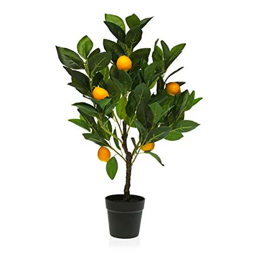 Versa Planta Decorativa, Estándar