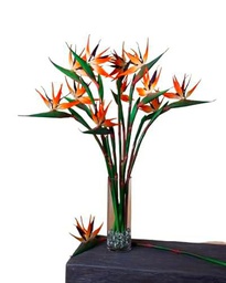 Ramo de Flor de Strelitzia Naranja Natural con 10 Flores de Color Llamativo y Elegante Ave del Paraíso