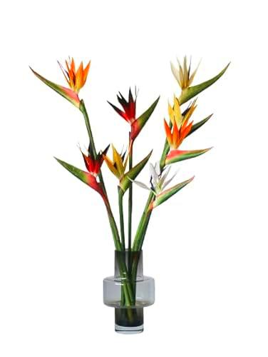 Ramo de Strelitzia Flores de Ave del Paraíso Naturales con 10 Flores en Tonos Vibrantes y Llamativos