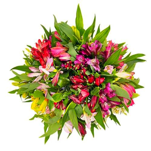 Bouquet de Lirios del Perú | DECOALIVE | Ramo 30 Flores Cortadas Premium