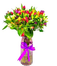 Astromelias Frescas - Ramo de Flores Cortadas para Eventos