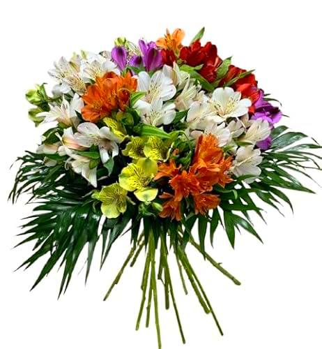 DECOALIVE - Ramo de Alstroemerias Naturales - Set de 30 Flores Frescas para Decoración y Regalo