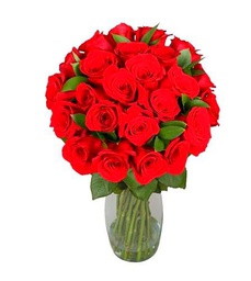 Ramo de Rosas Color Rojo con 25 Flores PREMIUM Ideales para Decoración Rosas Frescas Naturales