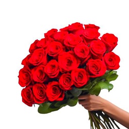 DECOALIVE | Ramo de Rosas Rojas Frescas l | Bouquet 25 Flores | Rosas Color Rojo Naturales y Frescas