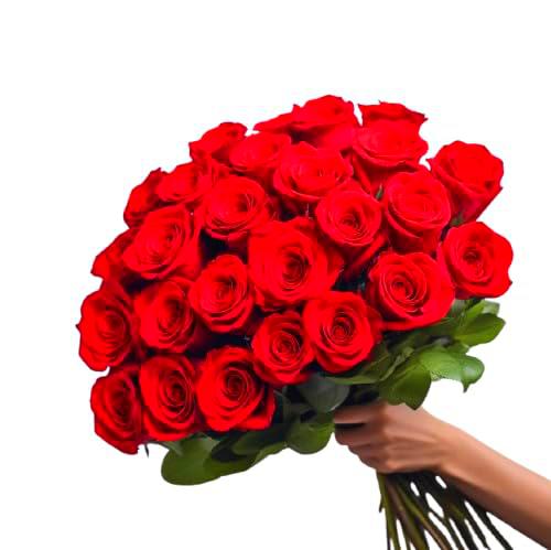 DECOALIVE | Ramo de Rosas Rojas Frescas l | Bouquet 25 Flores | Rosas Color Rojo Naturales y Frescas