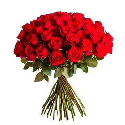Bouquet de Rosas Color Rojo Naturales con 25 Flores en Diseño Romántico Rosas Frescas Rojas