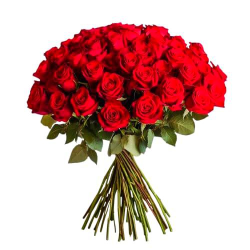 Bouquet de Rosas Color Rojo Naturales con 25 Flores en Diseño Romántico Rosas Frescas Rojas