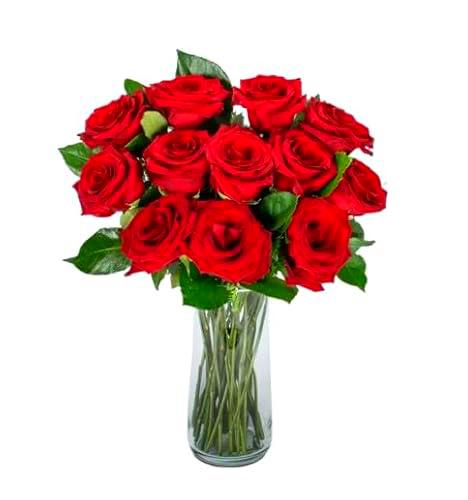 Bouquet de Rosas Rojas con 25 Flores Naturales y Frescas de Alta Duración