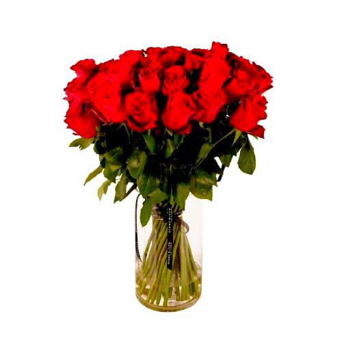 Bouquet de Rosas Color Rojo Flores Frescas con 25 Flores para Regalar en Cualquier Ocasión Rosas Rojas Naturales