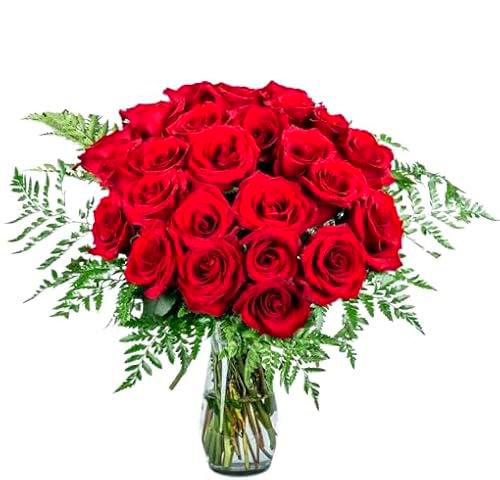 Ramo de Rosas Naturales Color Rojo con 25 Flores en Presentación Premium para Detalles Especiales Rosas Premium