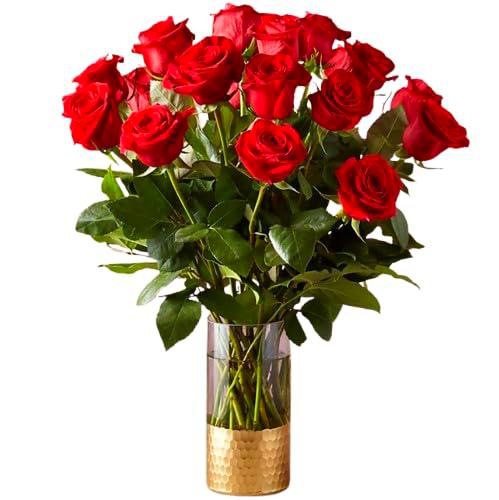 Ramo de Rosas Rojas Frescas con 25 Flores para Decoración y Regalos Especiales