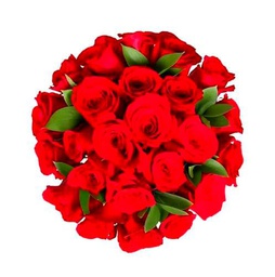 Ramo de ROSAS ROJAS Naturales con 25 Flores en Tonos Vibrantes Rosas Rojas Frescas para Ocasiones Especiales
