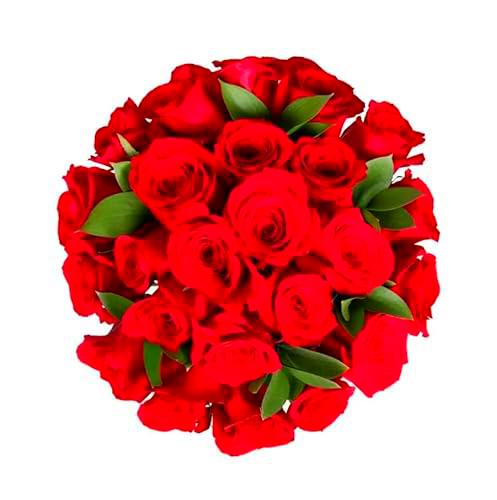 Ramo de ROSAS ROJAS Naturales con 25 Flores en Tonos Vibrantes Rosas Rojas Frescas para Ocasiones Especiales