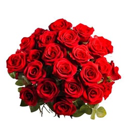 Ramo de Rosas Rojas Natural con 25 Flores de Color Puro y Elegante Rosas para Regalar