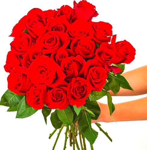 Ramo de Rosas Naturales Flores Frescas Color Rojo Ramo con 25 Flores de Temporada