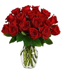 Ramo de Rosas Rojas Frescas con 25 Flores Románticas