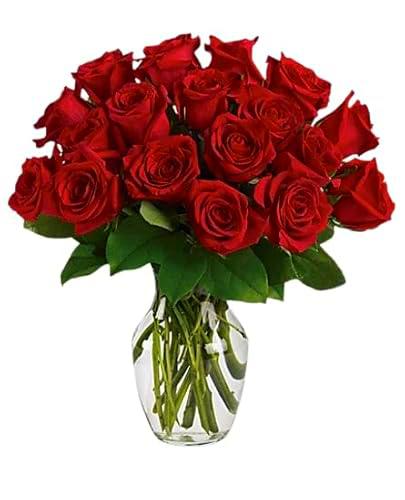 Ramo de Rosas Rojas Frescas con 25 Flores Románticas