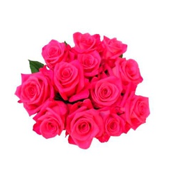 Ramo de Rosas Rosa Oscuro Frescas con 25 Flores en Diseño Moderno y Elegante Ramo Rosas Premium Color Rosa Fucsia Morado