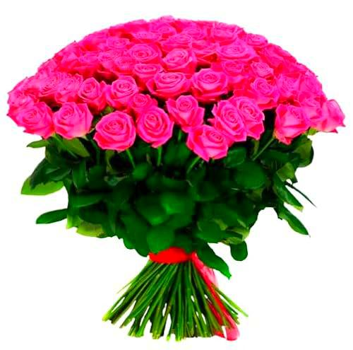 Bouquet de Rosas Rosa Oscuro con 25 Flores Naturales y Frescas de Alta Duración