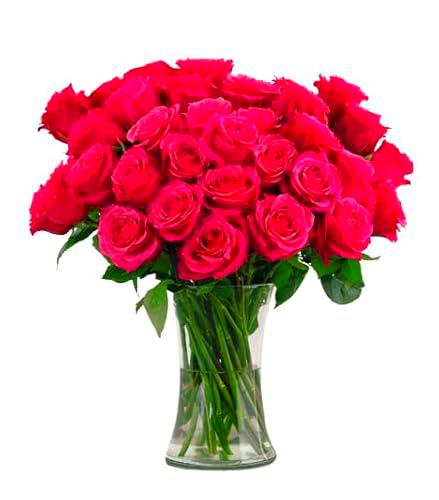 Bouquet de Flores de Rosas Rosa Oscuro con 25 Flores Largas y Resplandecientes
