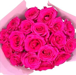 Ramo de ROSAS ROSA OSCURO Naturales con 25 Flores en Tonos Vibrantes Rosas Rosa Oscuro Frescas para Ocasiones Especiales