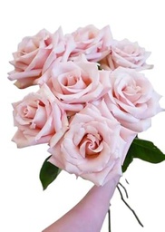 Bouquet de Rosas Color Rosa Claro Naturales con 25 Flores en Diseño Romántico Rosas Frescas Rosa Claro