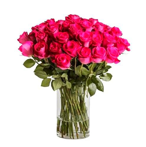 Ramo de Rosas Naturales Flores Frescas Color Rosa Oscuro Ramo con 25 Flores de Temporada