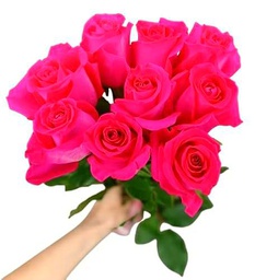 Bouquet de Rosas Rosa Oscuro Frescas con 25 Flores Naturales