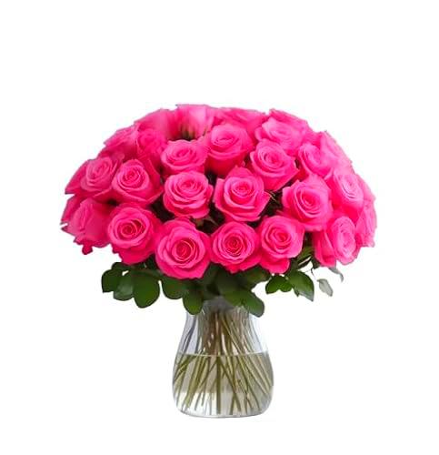 Ramo de Rosas Color Rosa Oscuro con 25 Flores PREMIUM Ideales para Decoración Rosas Frescas Naturales