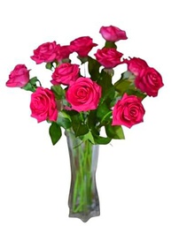 Ramo de Rosas Rosa Oscuro Natural con 25 Flores de Color Puro y Elegante Rosas para Regalar