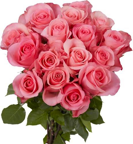 Ramo de Rosas Naturales Flores Frescas Color Rosa Claro Ramo con 25 Flores de Temporada