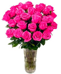 Ramo de Rosas Naturales Color Rosa Oscuro con 25 Flores en Presentación Premium para Detalles Especiales Rosas Rosa Fucsia Premium