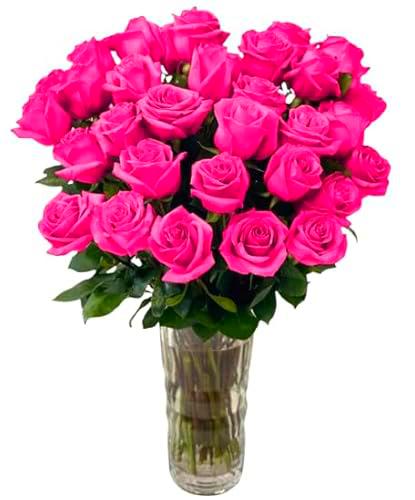 Ramo de Rosas Naturales Color Rosa Oscuro con 25 Flores en Presentación Premium para Detalles Especiales Rosas Rosa Fucsia Premium