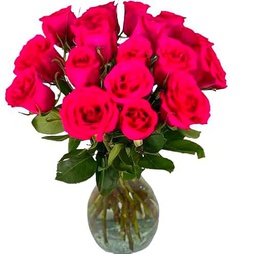 Bouquet de Rosas Frescas ROSA OSCURO con 25 Flores para Sorprender en Cualquier Evento