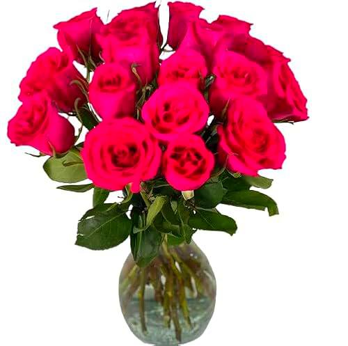 Bouquet de Rosas Frescas ROSA OSCURO con 25 Flores para Sorprender en Cualquier Evento