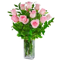 Ramo de Rosas Naturales Color Rosa Claro con 25 Flores en Presentación Premium para Detalles Especiales Rosas Rosa Claro Premium