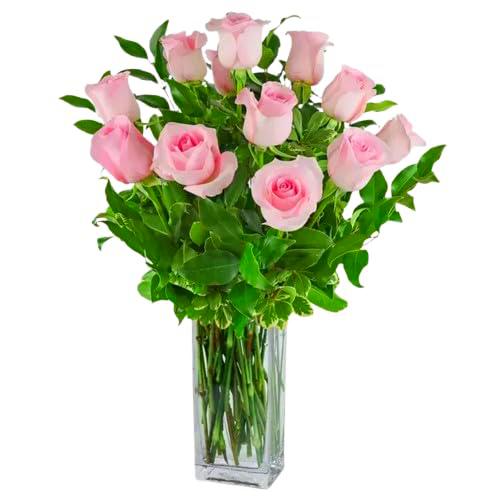 Ramo de Rosas Naturales Color Rosa Claro con 25 Flores en Presentación Premium para Detalles Especiales Rosas Rosa Claro Premium
