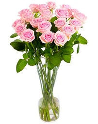 Ramo de Rosas Rosa Claro Frescas con 25 Flores para Decoración y Regalos Especiales