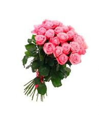 Ramo de ROSAS ROSA CLARO Naturales con 25 Flores en Tonos Vibrantes Rosas Rosa Claro Frescas para Ocasiones Especiales