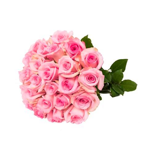 Ramo de Rosas Rosa Claro Natural con 25 Flores de Color Puro y Elegante Rosas para Regalar