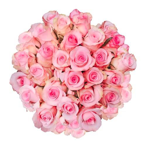 Ramo de Rosas Rosa Claro Frescas con 25 Flores Románticas